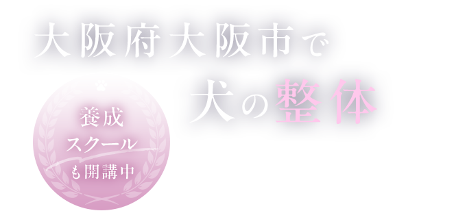 Manipulative Treatment Training School 大阪府大阪市で犬の整体 養成スクールも開講中